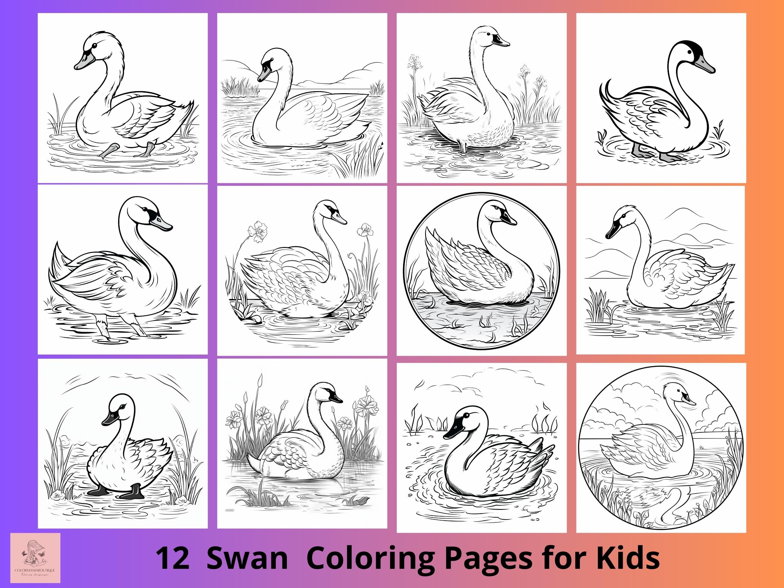 Swan printable coloring sheet for kids lake animals