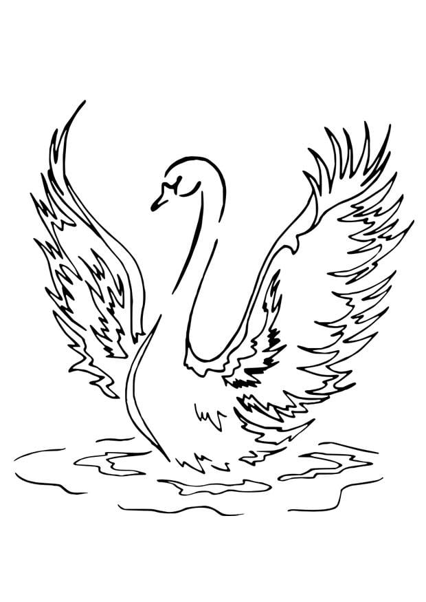 Coloring page swan