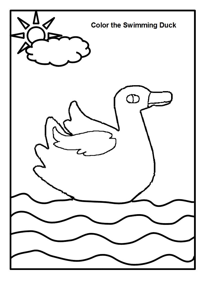 Swan coloring page printable for kids