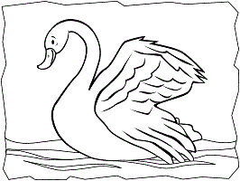 Swans coloring pages