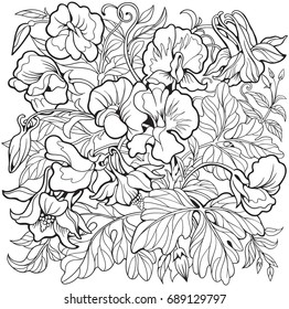 Peas coloring page images stock photos d objects vectors