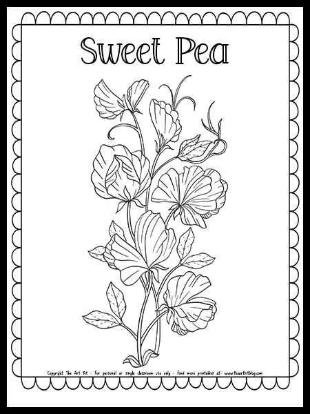 Sweet pea flower coloring page free printable â the art kit