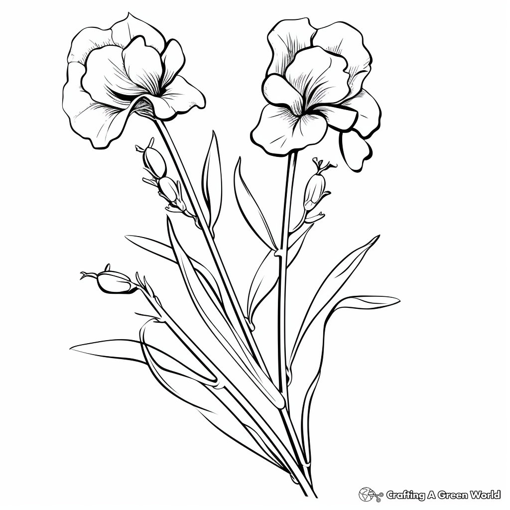 Peas coloring pages