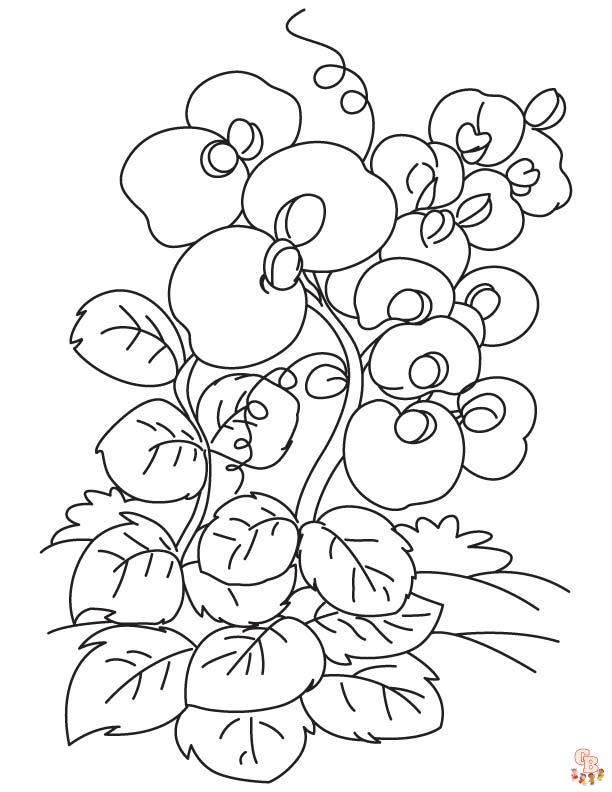 Sweet pea coloring pages printable and free coloring sheets