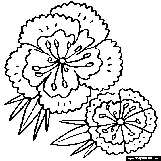 Flower coloring pages color flowers online