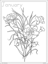 Birth flowers coloring pages