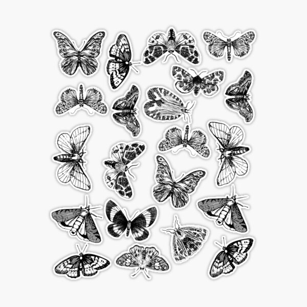 Black and white beautiful butterflies art pattern sticker for sale by andrei zlamparet