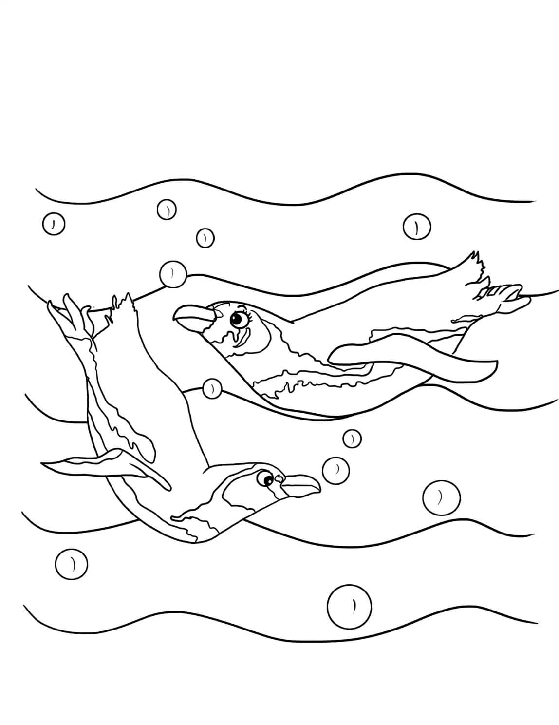 Two penguins swimming coloring page