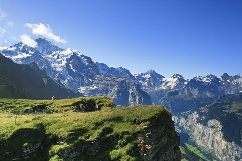 Download swiss alps wallpaper free Bhmpics