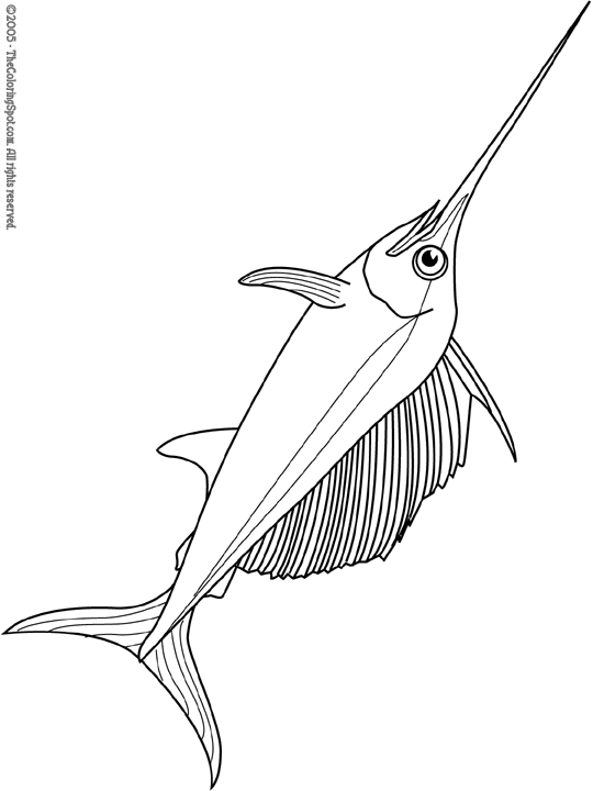 Swordfish coloring page audio stories for kids free coloring pages colouring printables