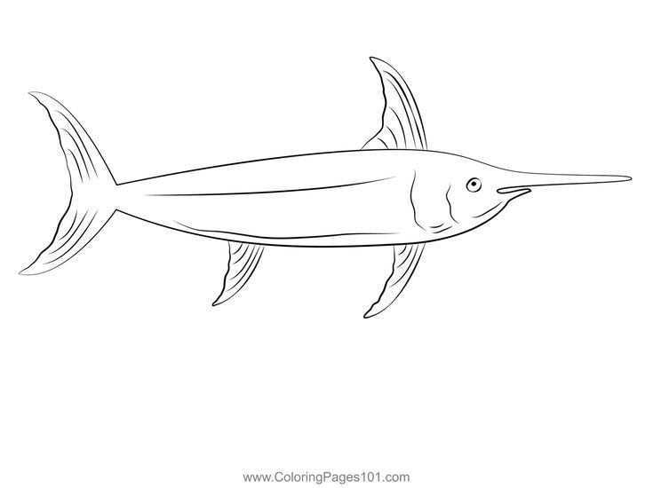 Ford igfa swordfish coloring page coloring pages printable coloring pages color