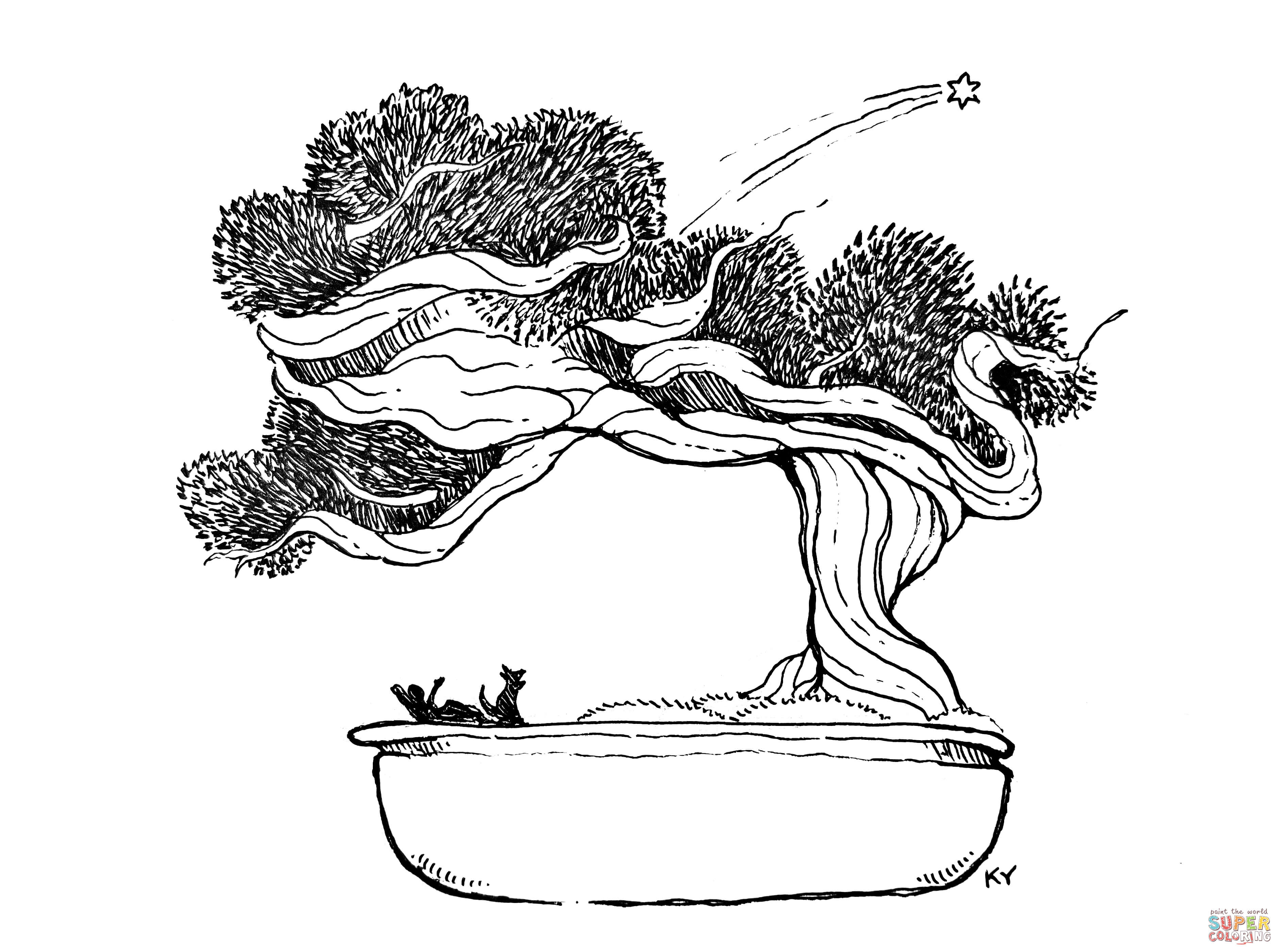 Bonsai tree coloring page free printable coloring pages