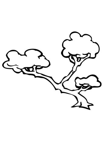 Bonsai tree coloring page free printable coloring pages tree coloring page tree drawing bonsai tree