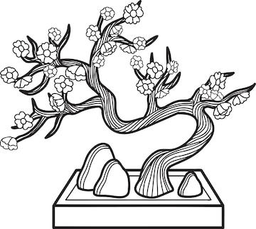 Premium vector hand drawn bonsai tree with stones illustration