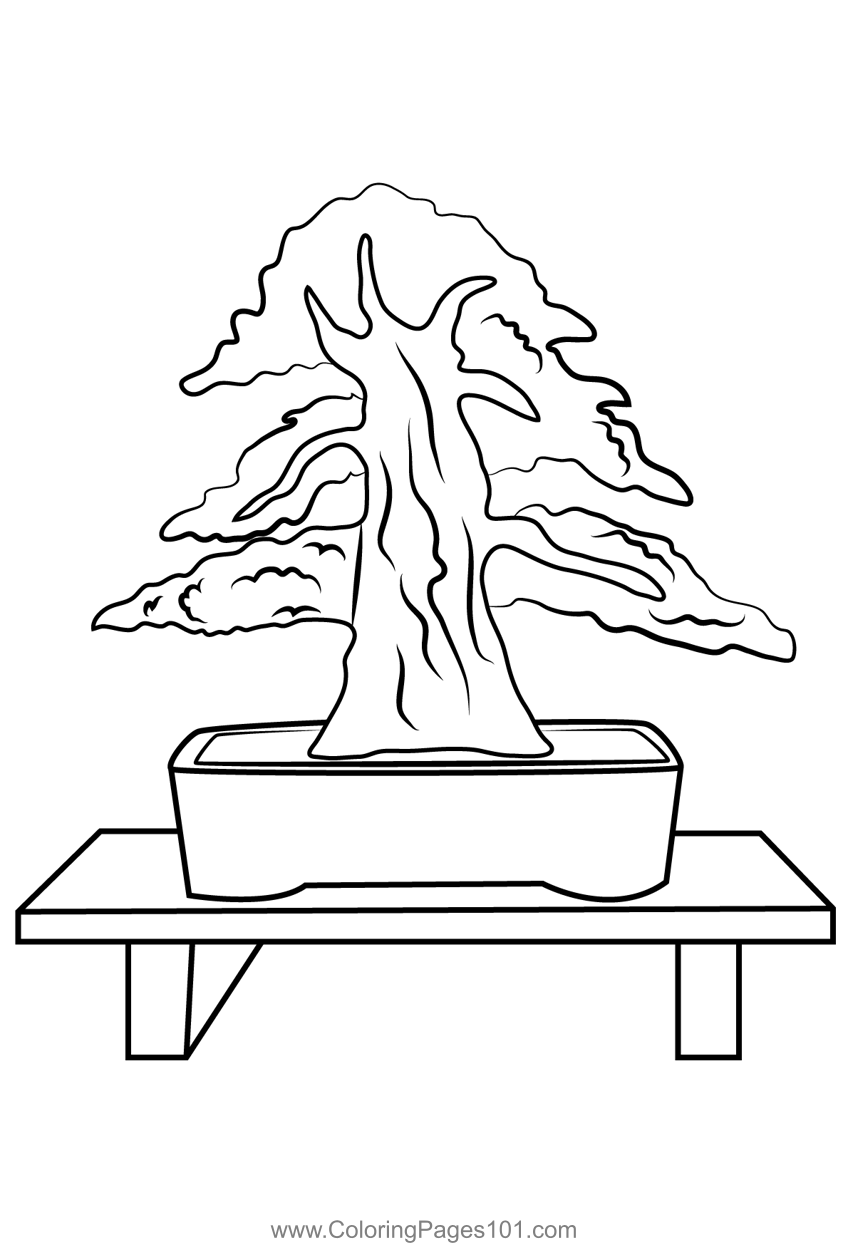 New bonsai tree coloring page for kids
