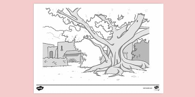 Sycamore tree colouring sheet tree colouring pages ks