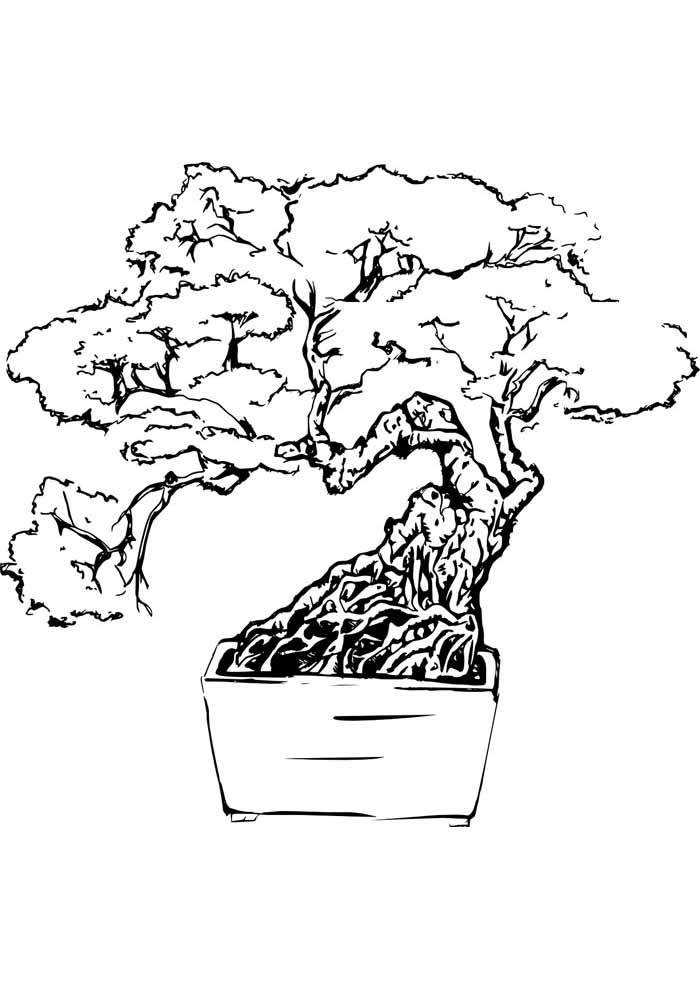 Tree coloring pages free personalizable coloring pages