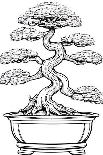 Premium photo miniature bonsai tree coloring page coloring sketch painting outline