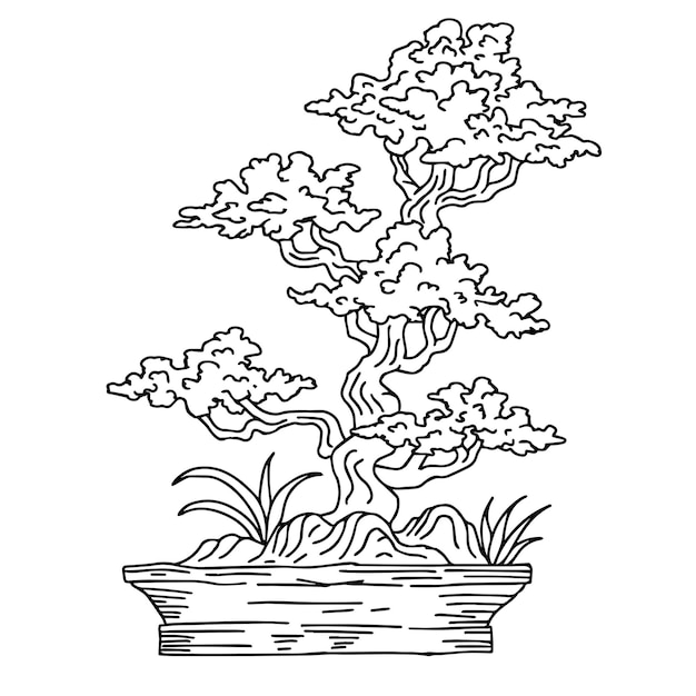 Premium vector print design illustration asian bonsai tree outline