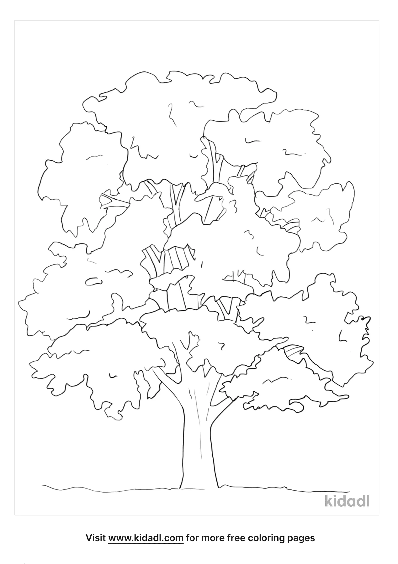 Free sycamore tree coloring page coloring page printables