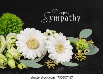 Download Free 100 + sympathy Wallpapers