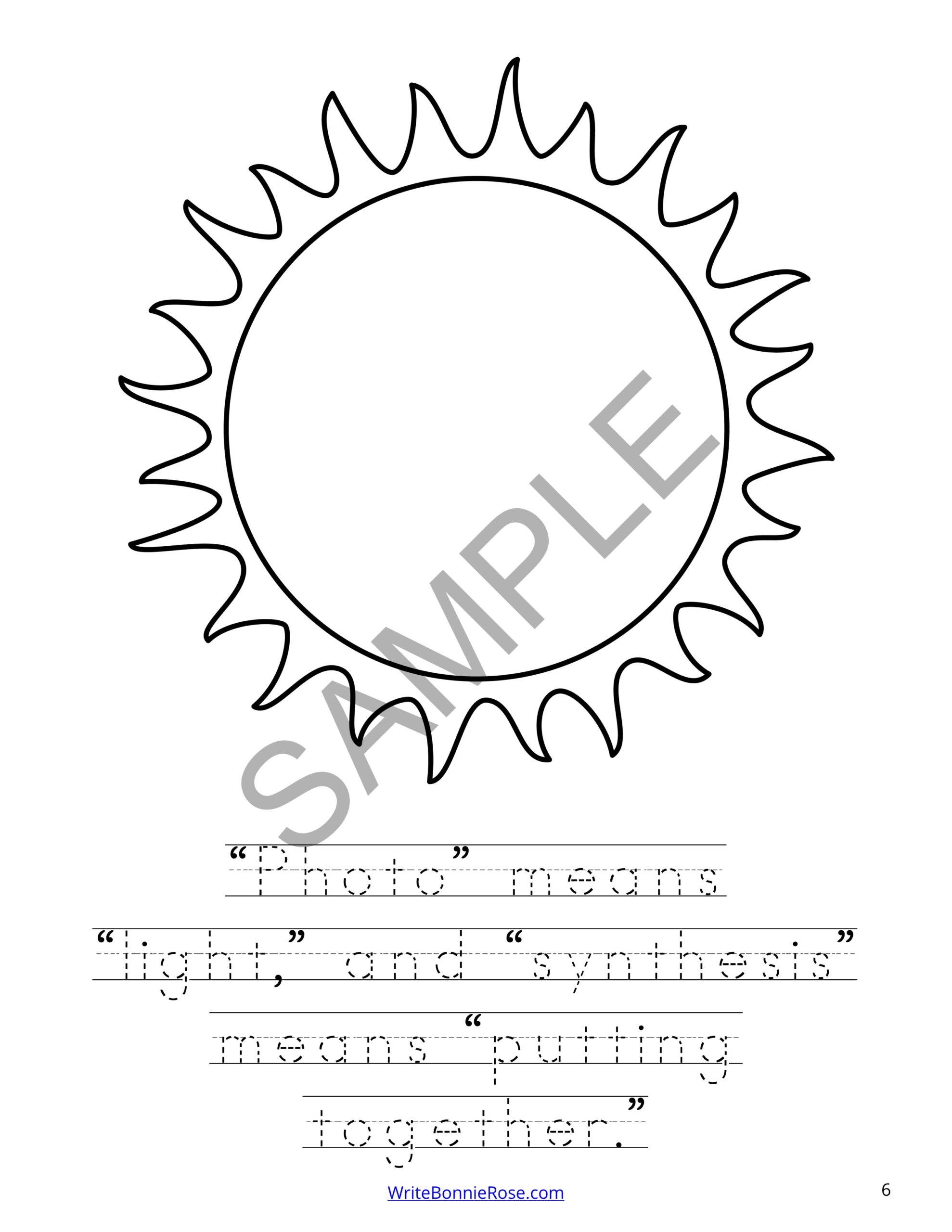 Learning about photosynthesis coloring book