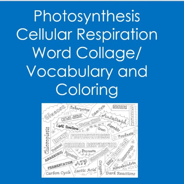 Protein synthesis word collage coloring biology vocabulary science made by teachers