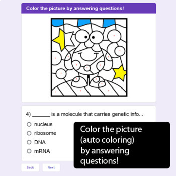 Protein synthesis