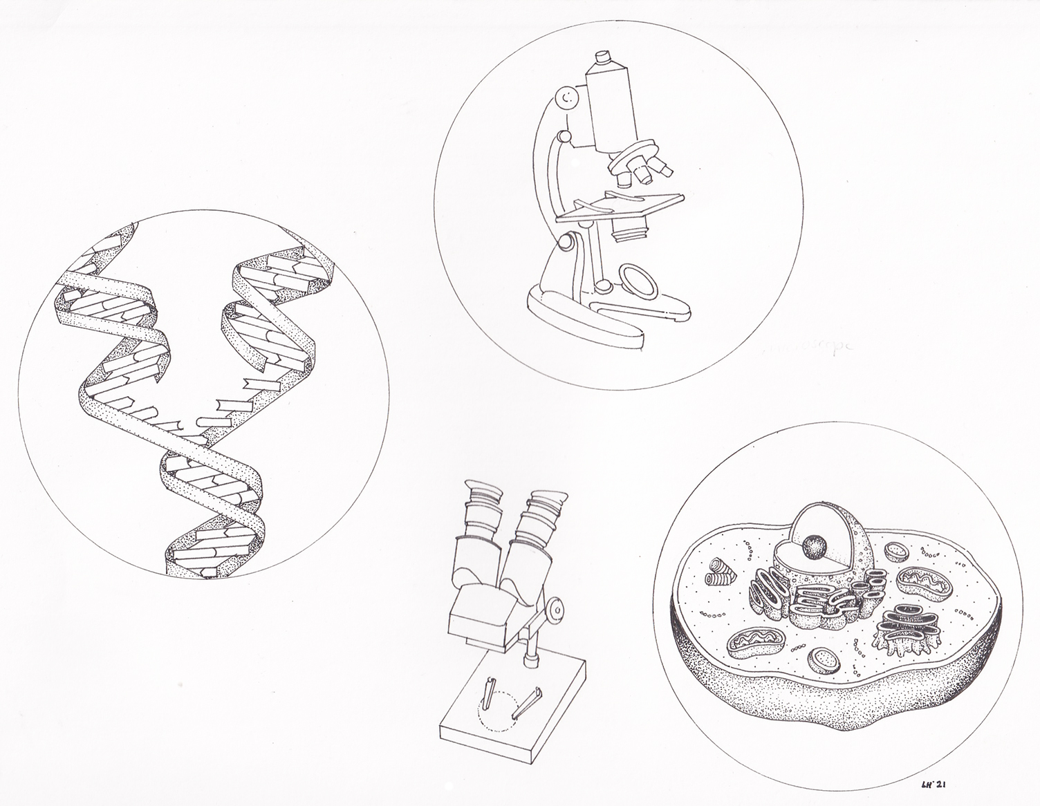 Dna microspes and cell diagram