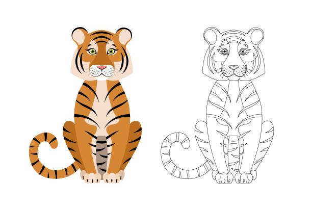 Tiger coloring stock photos pictures royalty