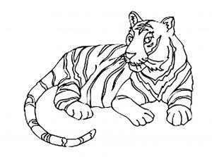 Tigers