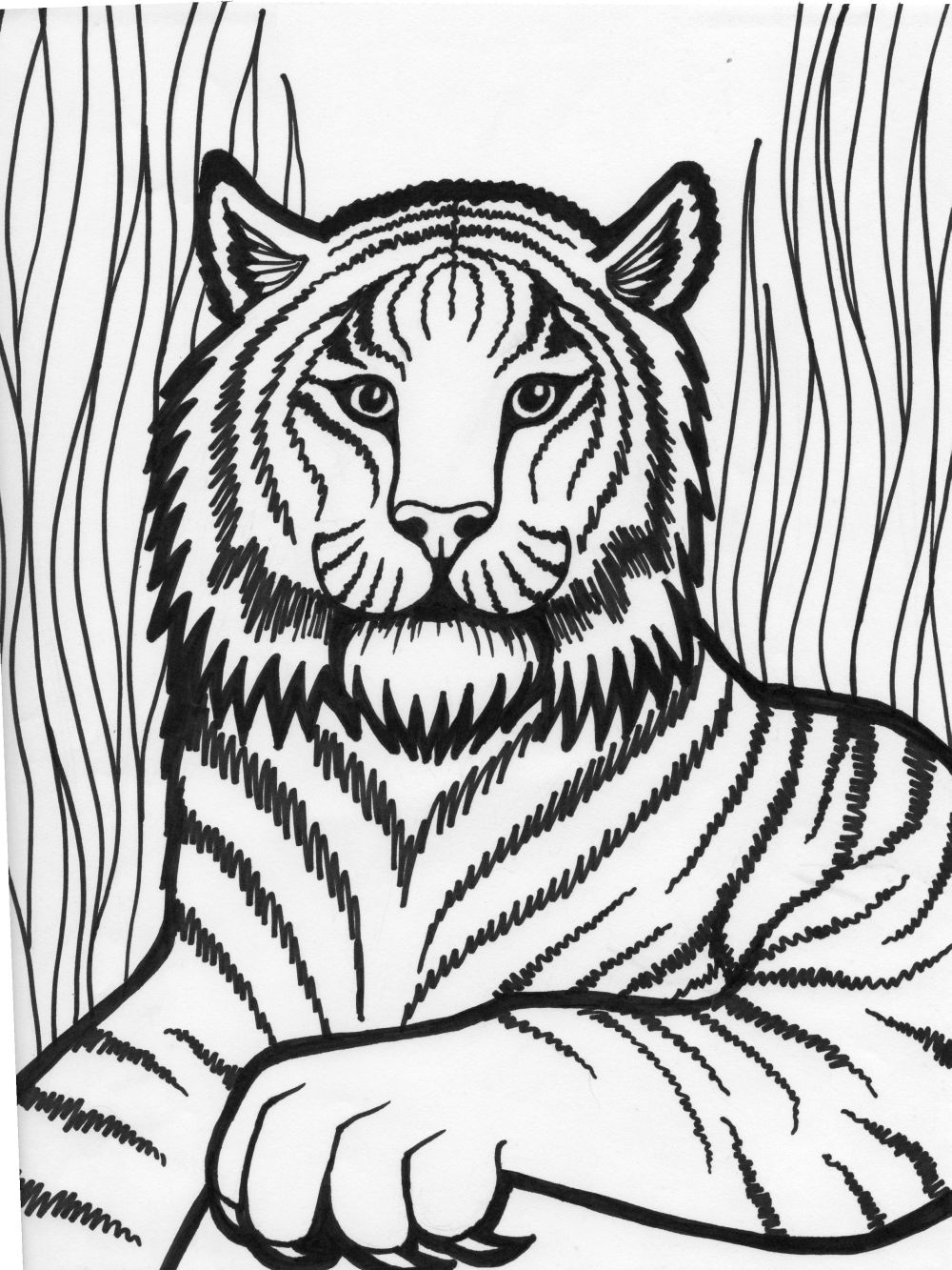 Free printable tiger coloring pages for kids