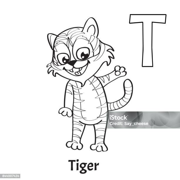 Vector alphabet letter t coloring page tiger stock illustration