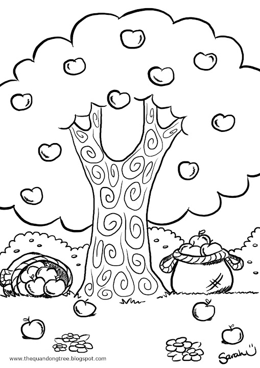 The quandong tree colouring pages