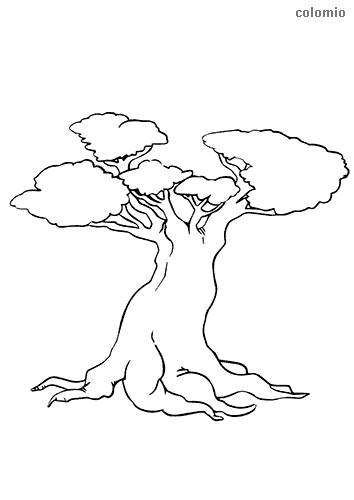 Trees coloring pages free printable tree coloring sheets