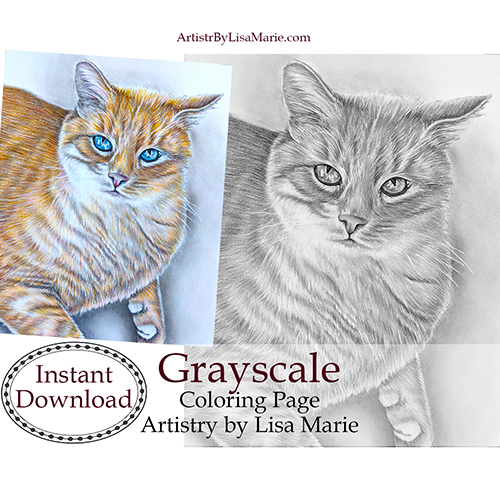 Tabby cat grayscale printable coloring book page â artistry by lisa marie