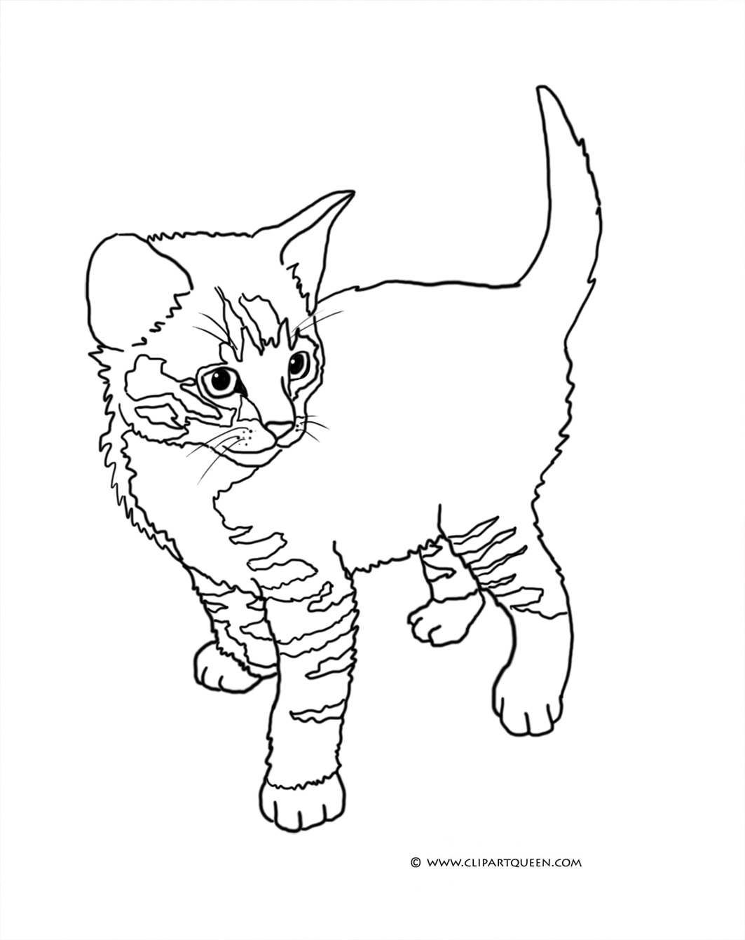 Cat coloring pages