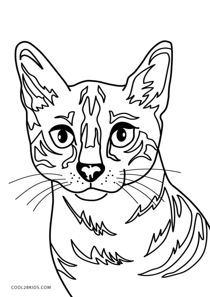 Free printable cat coloring pages for kids cat coloring book cat coloring page dog coloring book