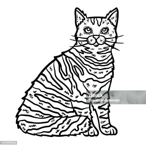 Cat animal coloring page for adult stock illustration