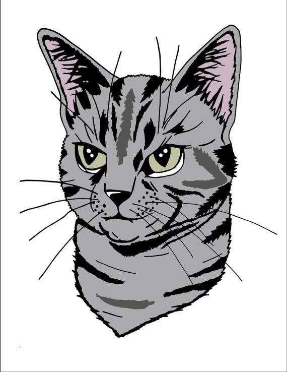 Tabby cat coloring page adult coloring page