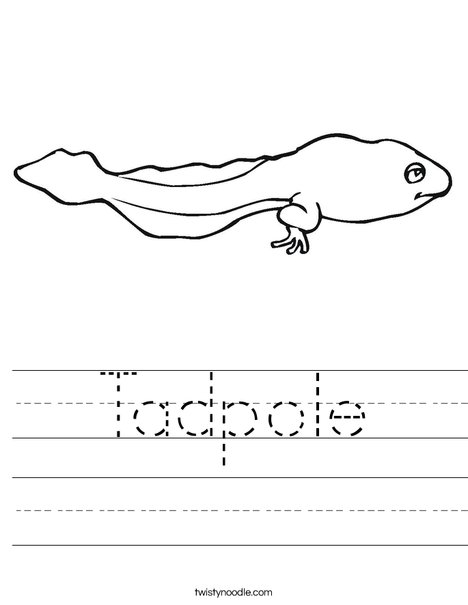 Tadpole worksheet