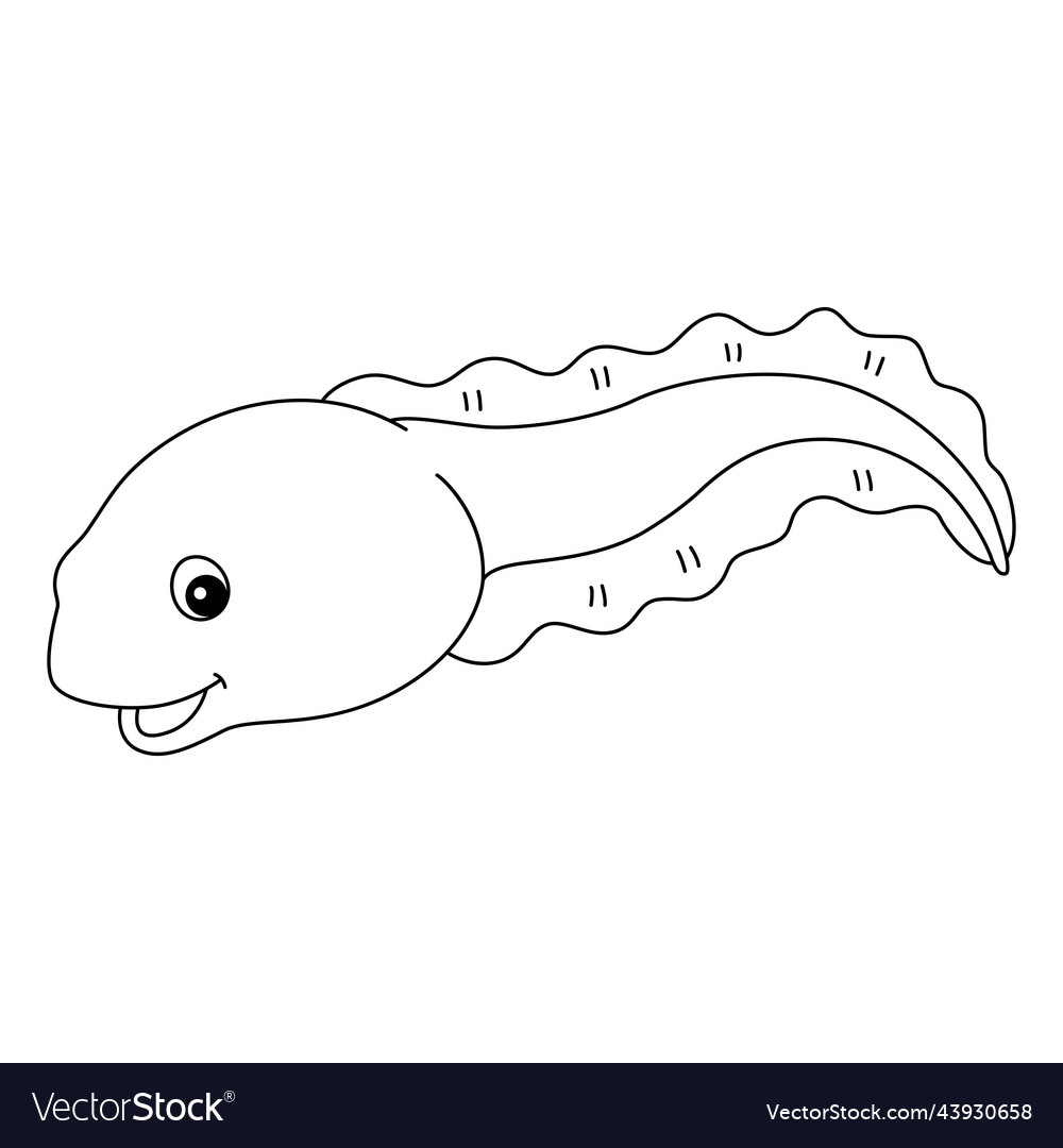 Tadpole animal isolated coloring page for kids vector image