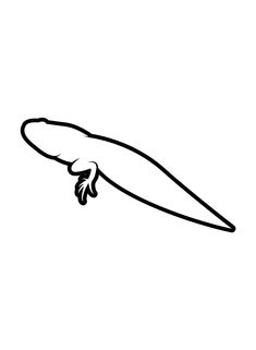 Tadpole coloring pages ideas coloring pages unique words coloring pages for kids