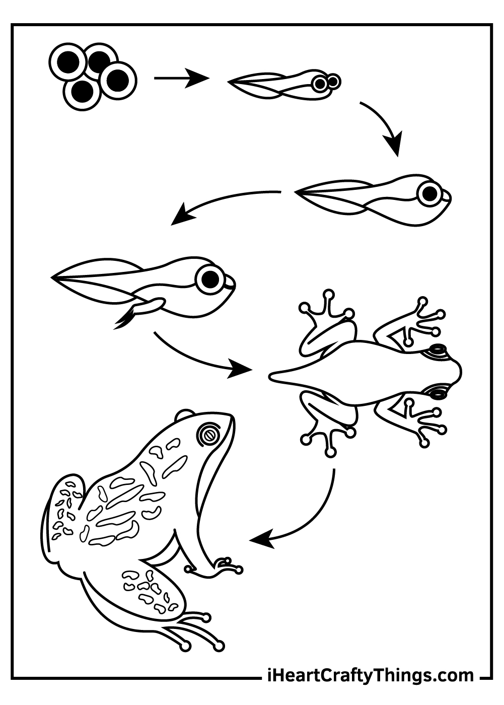 Frog coloring pages free printables