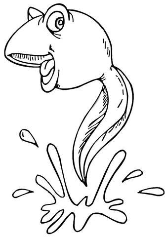 Tadpole in the water coloring page free printable coloring pages