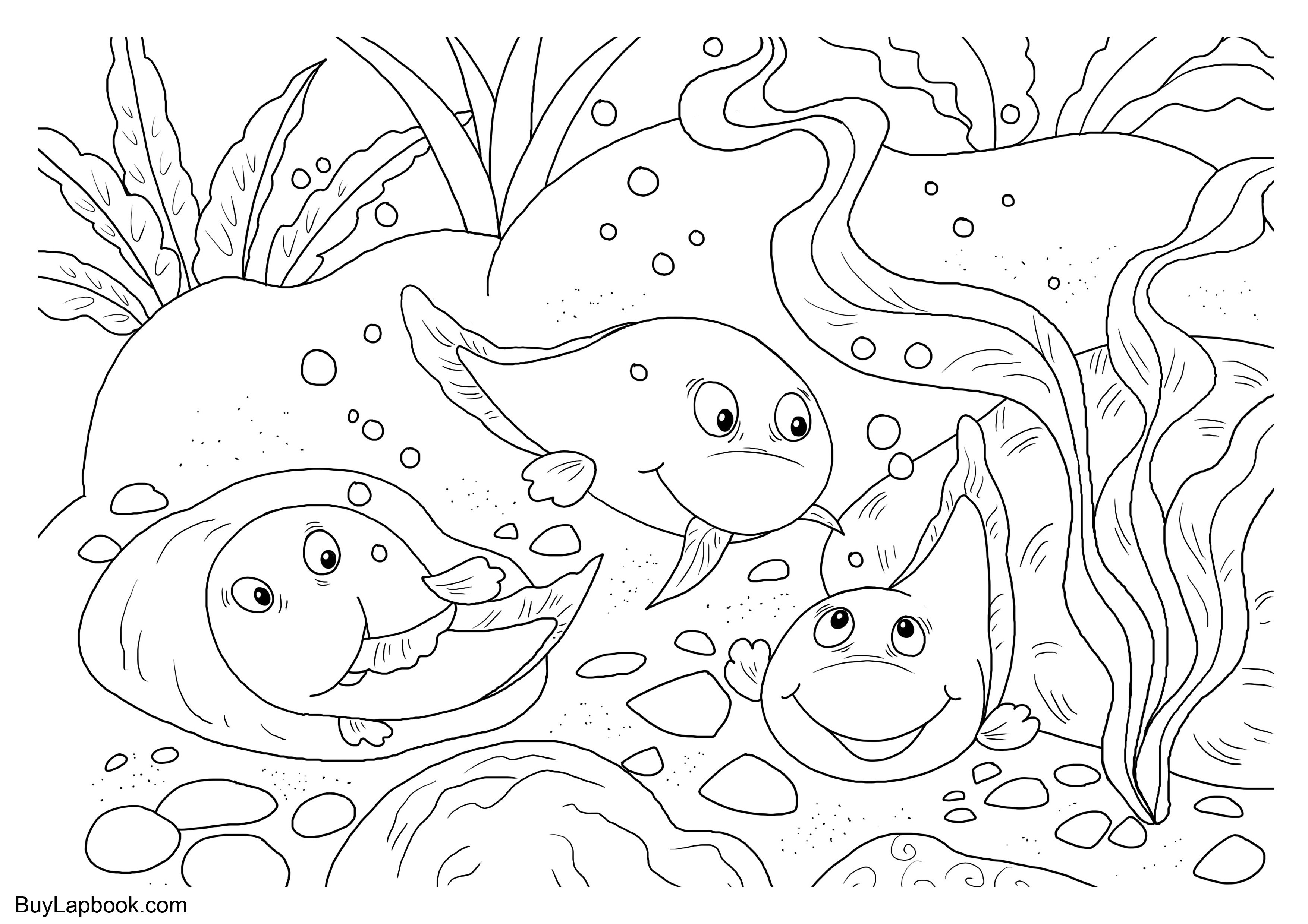 The life cycle of a frog free coloring pages