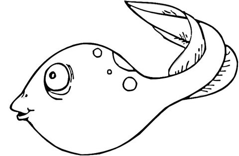 Tadpole coloring page free printable coloring pages coloring pages cute coloring pages free printable coloring