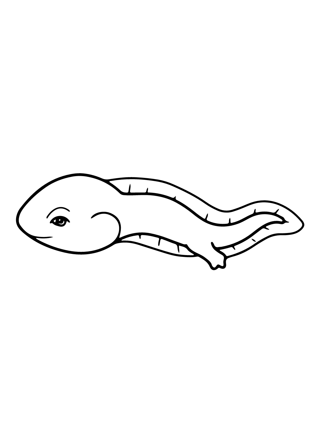 Tadpole coloring pages printable for free download