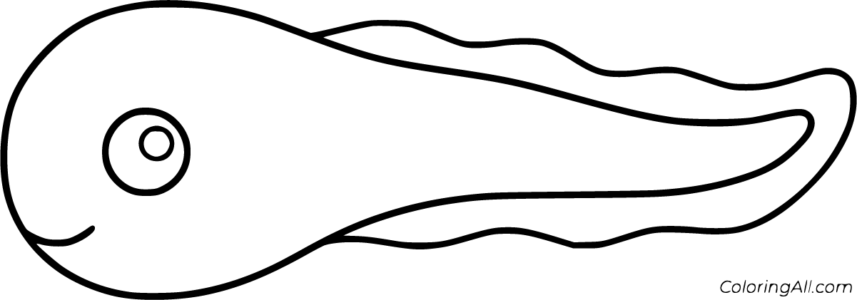 Tadpole coloring pages