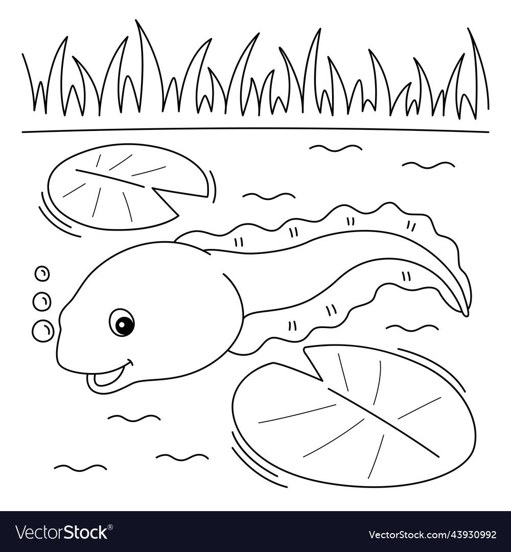 Tadpole animal coloring page for kids royalty free vector